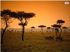 Kenya (source: SNCF-voyages)