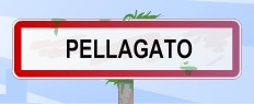Miniville Pellagato